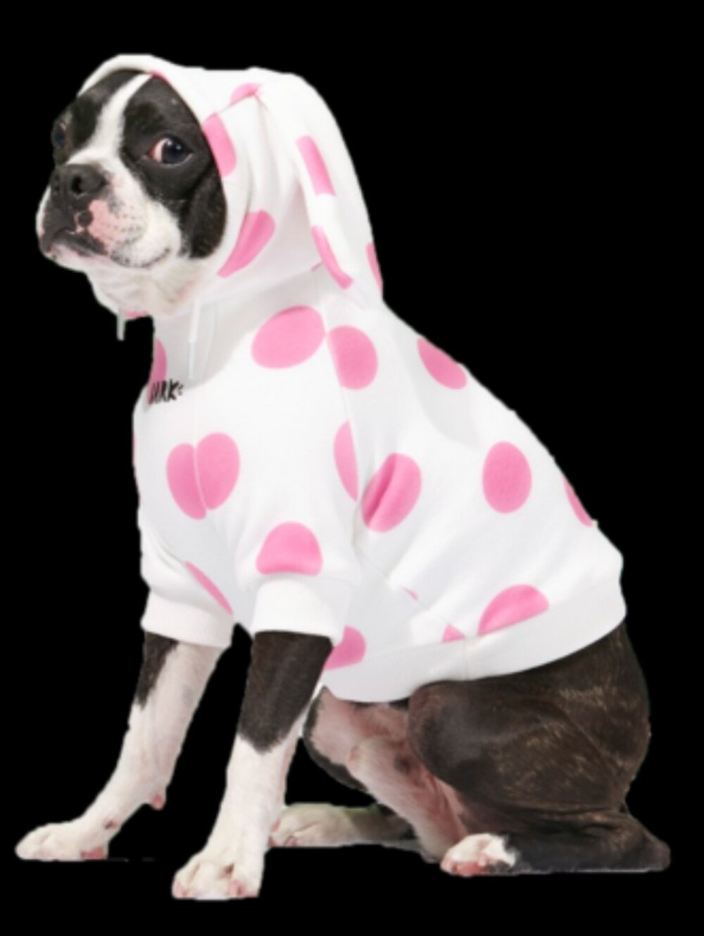 BarkBox Spofted Elephant Dog Hoodie NWT size m